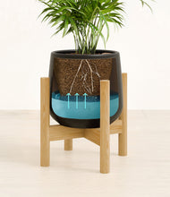 Load image into Gallery viewer, -