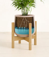 Load image into Gallery viewer, -