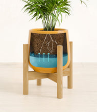 Load image into Gallery viewer, -