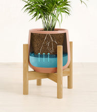 Load image into Gallery viewer, -