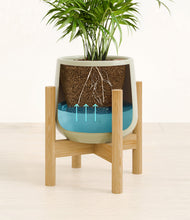 Load image into Gallery viewer, -