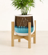 Load image into Gallery viewer, -