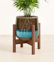 Load image into Gallery viewer, -