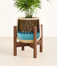 Load image into Gallery viewer, -