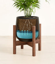 Load image into Gallery viewer, -