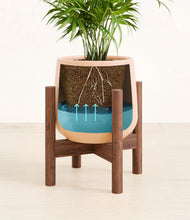 Load image into Gallery viewer, -