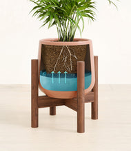 Load image into Gallery viewer, -