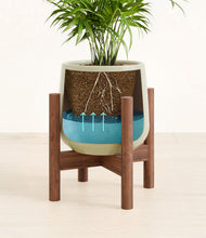 Load image into Gallery viewer, -