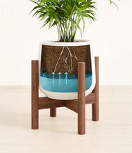 Load image into Gallery viewer, -