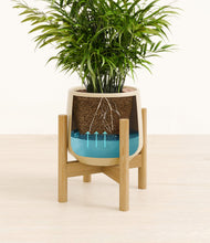 Load image into Gallery viewer, Almond Green stand:bamboo