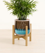 Load image into Gallery viewer, Eternal Gray stand:bamboo