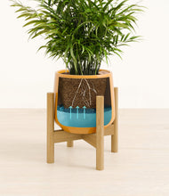 Load image into Gallery viewer, Mustard stand:bamboo