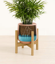 Load image into Gallery viewer, Calm Rose stand:bamboo