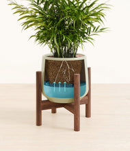 Load image into Gallery viewer, Turquoise stand:walnut