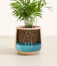 Load image into Gallery viewer, -