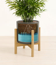 Load image into Gallery viewer, Dark Olive stand:bamboo