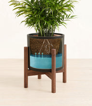 Load image into Gallery viewer, Black stand:walnut