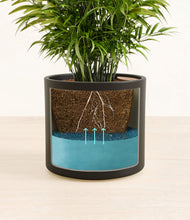 Load image into Gallery viewer, Black