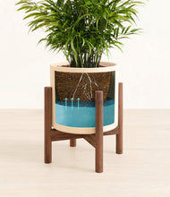 Load image into Gallery viewer, Cream stand:walnut