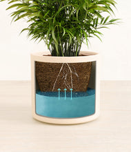 Load image into Gallery viewer, Cream