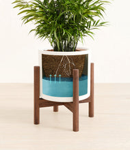 Load image into Gallery viewer, White stand:walnut