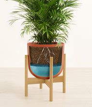 Load image into Gallery viewer, Earth Red stand:bamboo