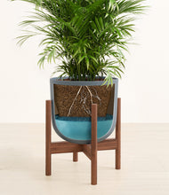 Load image into Gallery viewer, Iron Gray stand:walnut