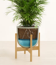 Load image into Gallery viewer, Sage Green stand:bamboo