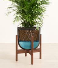 Load image into Gallery viewer, Stone Black stand:walnut