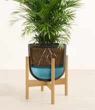 Load image into Gallery viewer, Stone Black stand:bamboo