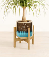 Load image into Gallery viewer, Almond Green stand:bamboo