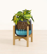 Load image into Gallery viewer, Deep Navy stand:bamboo