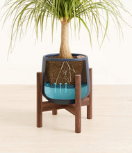 Load image into Gallery viewer, Deep Navy stand:walnut