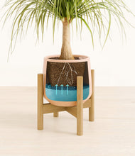 Load image into Gallery viewer, Gentle Pink stand:bamboo