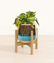 Load image into Gallery viewer, Gentle Pink stand:bamboo