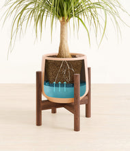 Load image into Gallery viewer, Gentle Pink stand:walnut