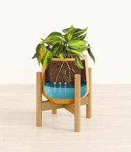 Load image into Gallery viewer, Mustard stand:bamboo