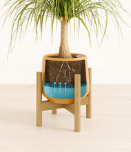 Load image into Gallery viewer, Mustard stand:bamboo