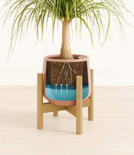 Load image into Gallery viewer, Calm Rose stand:bamboo