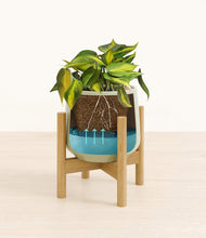 Load image into Gallery viewer, Turquoise stand:bamboo