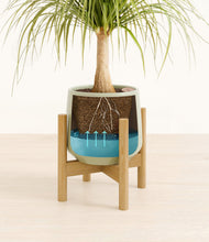Load image into Gallery viewer, Turquoise stand:bamboo
