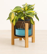 Load image into Gallery viewer, Black stand:light