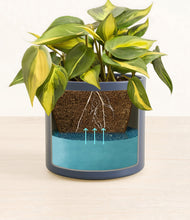 Load image into Gallery viewer, Deep Navy