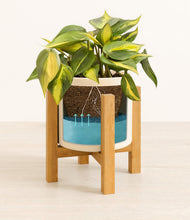 Load image into Gallery viewer, Cream stand:light