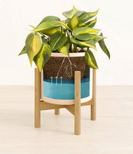 Load image into Gallery viewer, Cream stand:bamboo