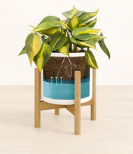 Load image into Gallery viewer, White stand:bamboo