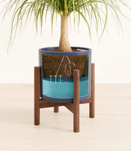 Load image into Gallery viewer, Deep Navy stand:walnut