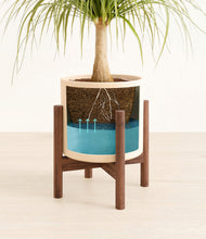 Load image into Gallery viewer, Cream stand:walnut
