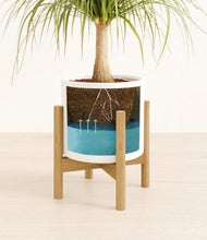 Load image into Gallery viewer, White stand:bamboo