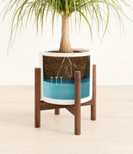 Load image into Gallery viewer, White stand:walnut